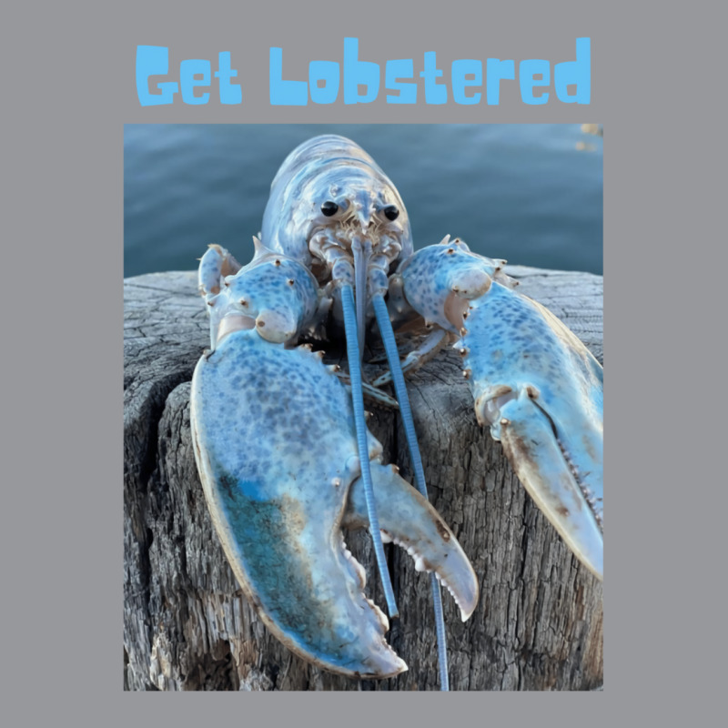 Funny Jumpscare Lobster Meme Blue Crustacean  Get Lobstered Bucket Hat | Artistshot