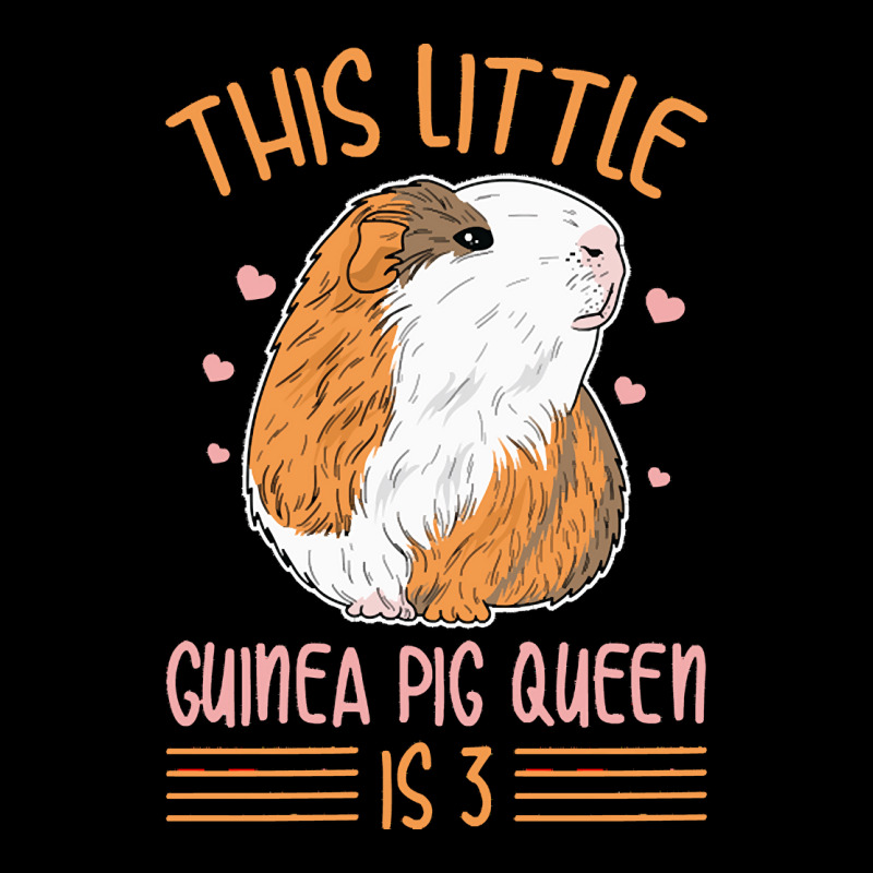 Guinea Pig 3 Birthday T  Shirt Cute Guinea Pig Design For A 3 Year Old Fleece Short | Artistshot