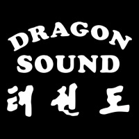 Dragon Sound 1 Lightweight Hoodie | Artistshot