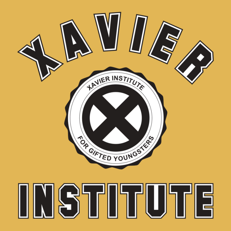 Xavier Institute For Gifted Youngsters Vintage Hoodie And Short Set by hadjeraramedv | Artistshot