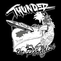 Thunder In Paradise Cropped Hoodie | Artistshot