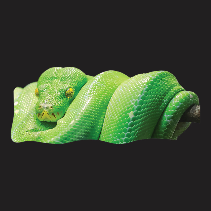 Green Tree Python Snake T-shirt | Artistshot