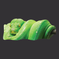 Green Tree Python Snake Vintage Short | Artistshot