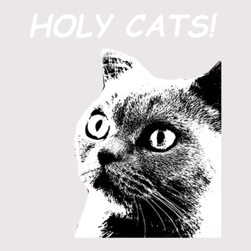 Holy Cats Pocket T-shirt | Artistshot