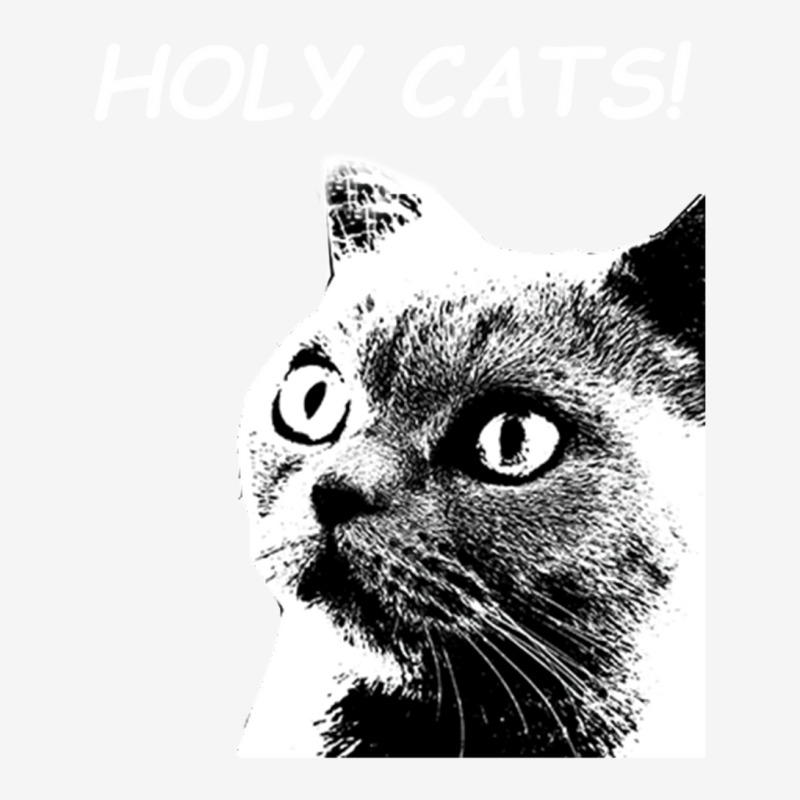 Holy Cats Classic T-shirt | Artistshot