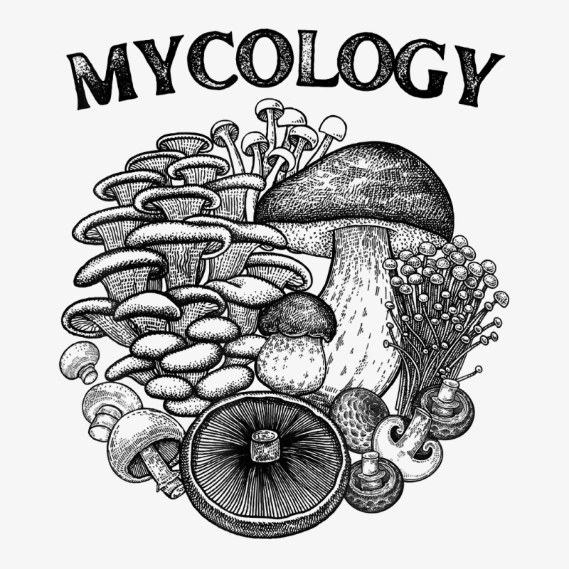 Mycologist Wild Mushrooms Mycology T Shirt Ladies Fitted T-Shirt by linbere | Artistshot