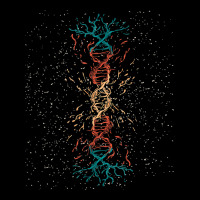 Dna Tree Science Genetics Dna T Shirt Cropped Sweater | Artistshot