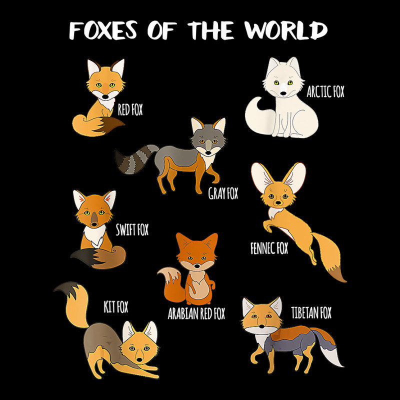 Foxes Of The World Funny Fox Animals Educational T Shirt Maternity Scoop Neck T-shirt by brict6eguo | Artistshot