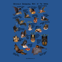 Critically Endangered Bats Of The World Ladies Fitted T-shirt | Artistshot