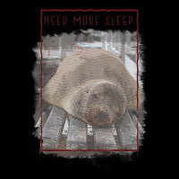 Need More Sleep Sealion T Shirt Men's 3/4 Sleeve Pajama Set | Artistshot