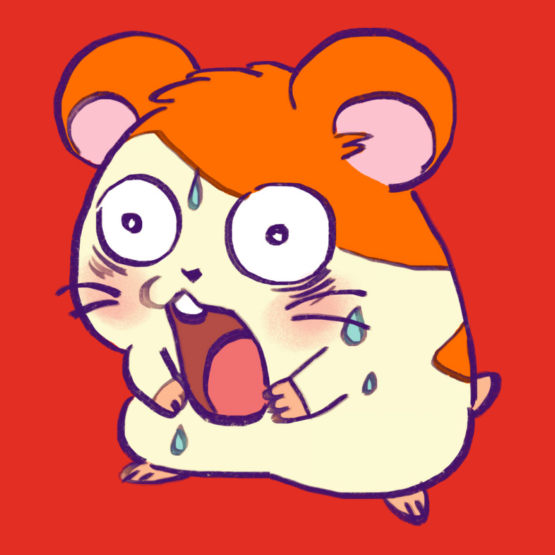 Shocked Hamtaro Meme Girl Graphic T-shirt | Artistshot