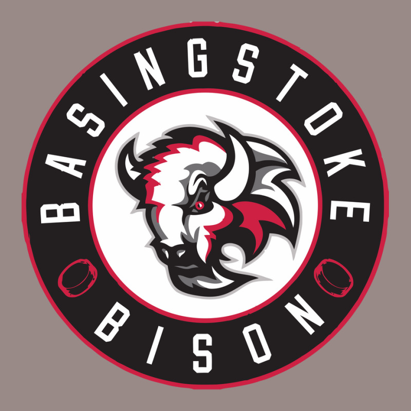 Basingstoke Bison Vintage T-Shirt by scottmilea | Artistshot