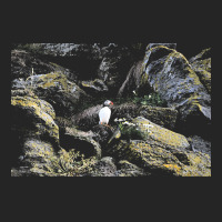 Puffin T  Shirt Puffin T  Shirt Unisex Hoodie | Artistshot