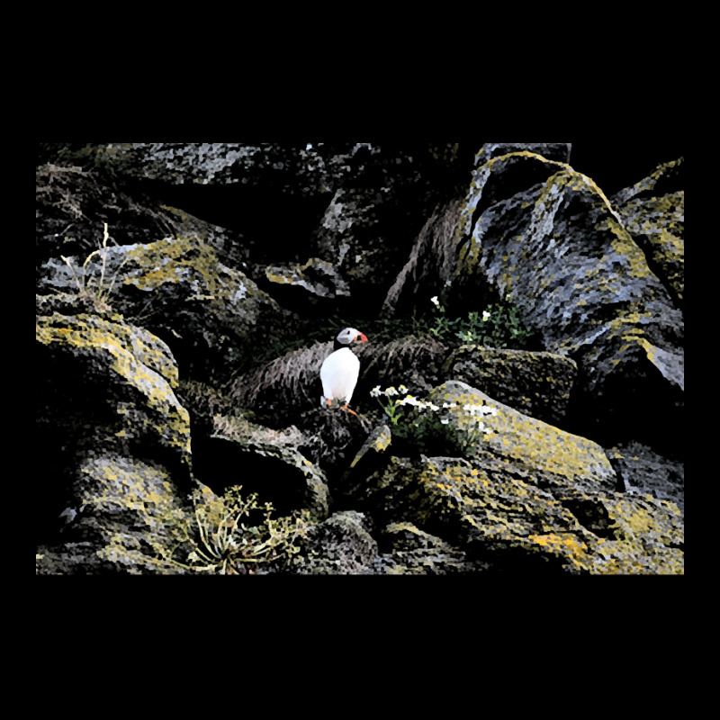 Puffin T  Shirt Puffin T  Shirt Zipper Hoodie | Artistshot