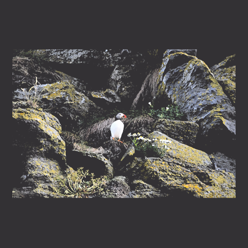 Puffin T  Shirt Puffin T  Shirt Vintage Short | Artistshot