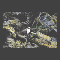 Puffin T  Shirt Puffin T  Shirt Vintage T-shirt | Artistshot