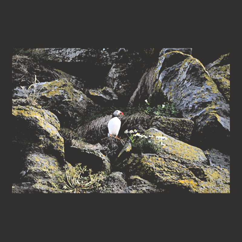 Puffin T  Shirt Puffin T  Shirt Champion Hoodie | Artistshot