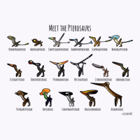 Meet The Pterosaurs Tank Top | Artistshot