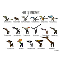 Meet The Pterosaurs Zipper Hoodie | Artistshot