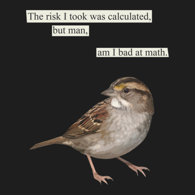 The Risk I Took Was Calculated Classic T-shirt by DeniseDaugherty | Artistshot