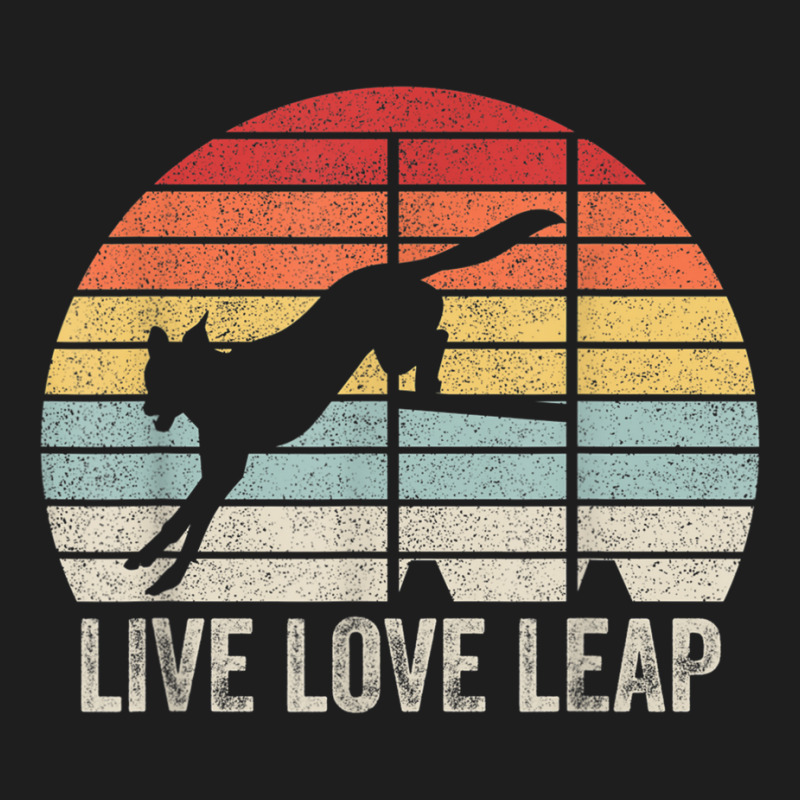 Retro Live Love Leap Canine Agility Dock Diving Dog Sport T Shirt Classic T-shirt by matheeishilo | Artistshot