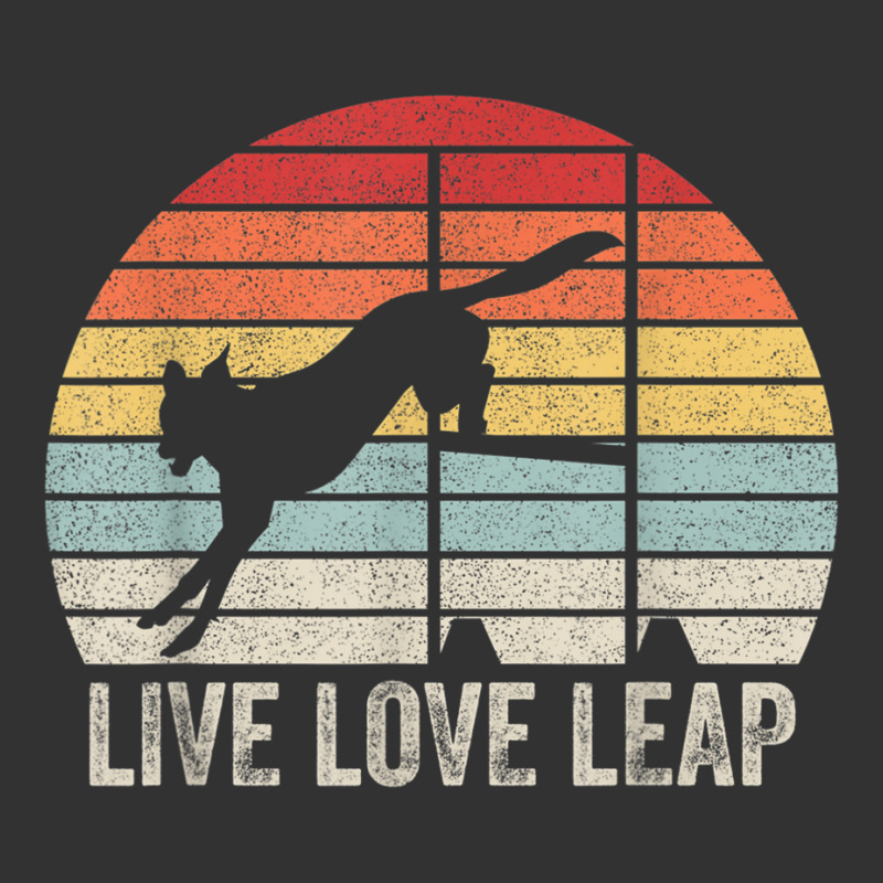 Retro Live Love Leap Canine Agility Dock Diving Dog Sport T Shirt Baby Bodysuit by matheeishilo | Artistshot