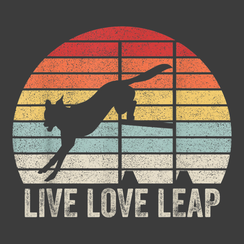 Retro Live Love Leap Canine Agility Dock Diving Dog Sport T Shirt Men's Polo Shirt by matheeishilo | Artistshot