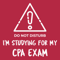 Funny Cpa Exams Cpa Studies Cpa Student 70s Champion Hoodie | Artistshot