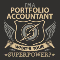 Portfolio Accountant T  Superpower Gift Item Tee Champion Hoodie | Artistshot