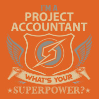 Project Accountant T  Superpower Gift Item Tee Unisex Hoodie | Artistshot