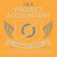 Project Accountant T  Superpower Gift Item Tee Zipper Hoodie | Artistshot