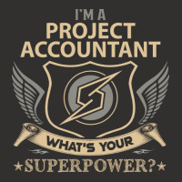 Project Accountant T  Superpower Gift Item Tee Champion Hoodie | Artistshot