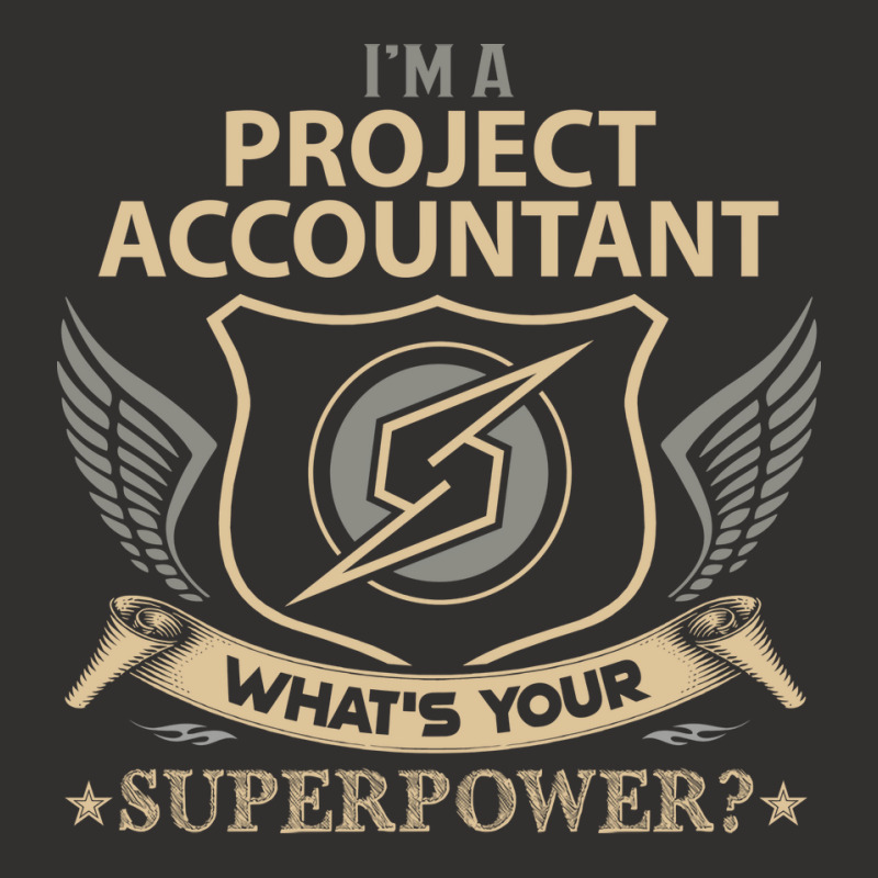 Project Accountant T  Superpower Gift Item Tee Champion Hoodie | Artistshot