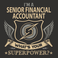 Senior Financial Accountant T  Superpower Gift Item Tee Champion Hoodie | Artistshot