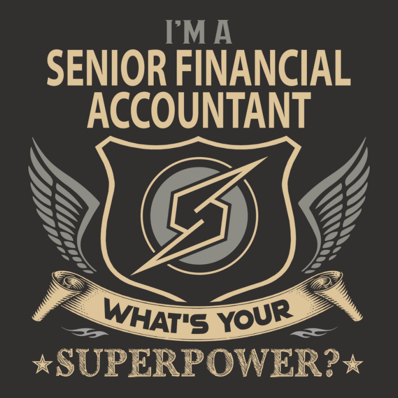 Senior Financial Accountant T  Superpower Gift Item Tee Champion Hoodie | Artistshot