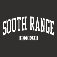 South Range Michigan Mi Vintage Athletic Sports Design T Shirt Champion Hoodie | Artistshot