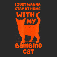 Stay Home With My Bambino Cat Funny Cat Mom Humor Cat Dad T Shirt Printed Hat | Artistshot