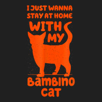 Stay Home With My Bambino Cat Funny Cat Mom Humor Cat Dad T Shirt Ladies Polo Shirt | Artistshot