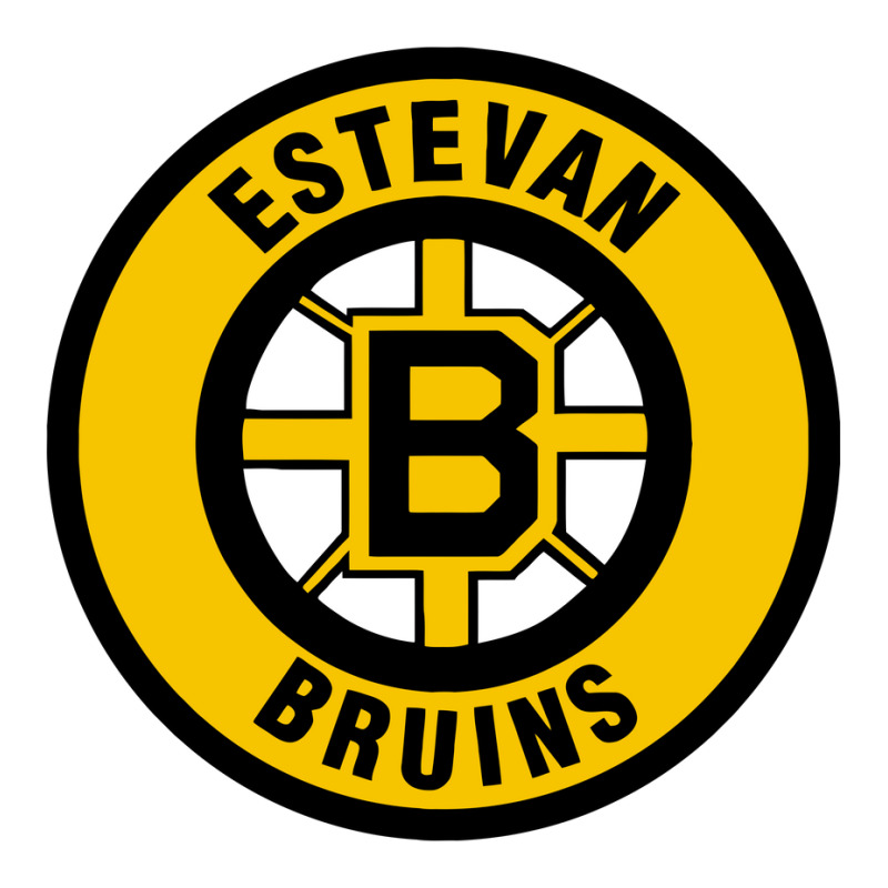 Estevan Bruins Unisex Hoodie by hilya | Artistshot