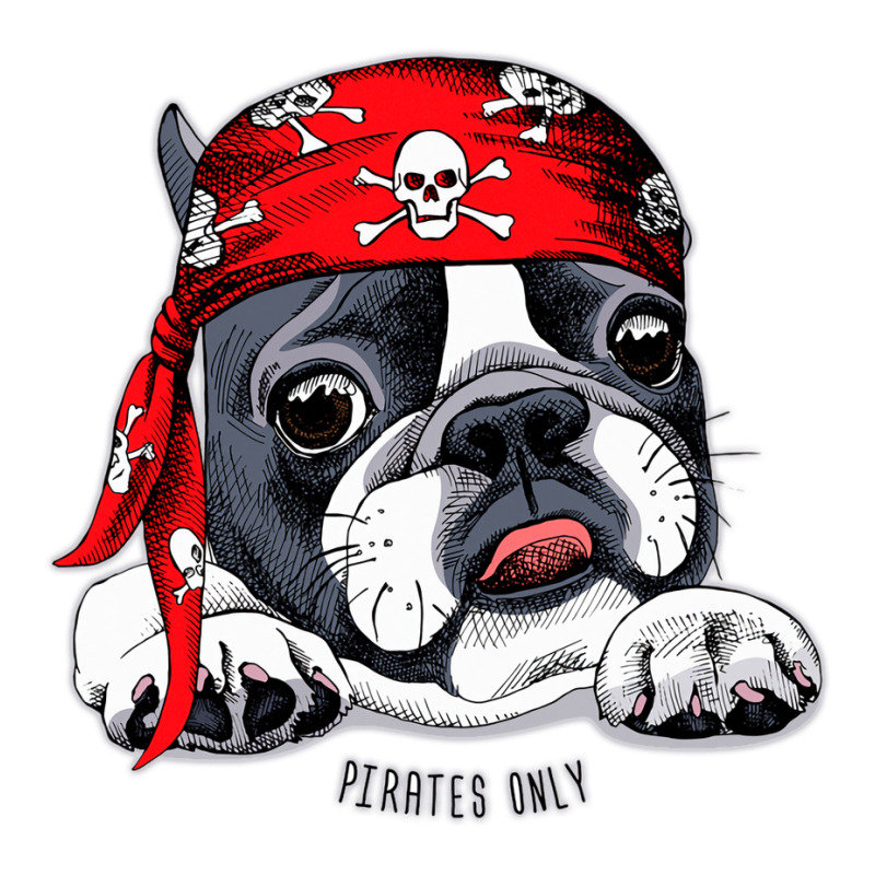 Terrier Pirates Only Stars Unisex Hoodie | Artistshot