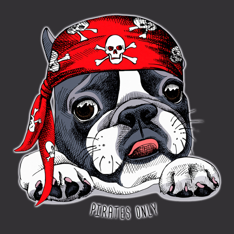 Terrier Pirates Only Stars Vintage Hoodie And Short Set | Artistshot