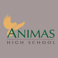 Animas High School Vintage Short | Artistshot