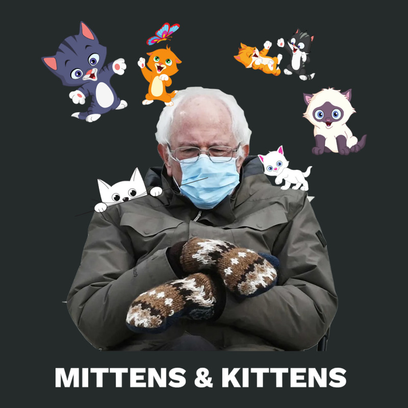 Bernie Sanders Mittens Inauguration Meme Kittens Women's Triblend Scoop T-shirt by DonnaSchennum1234 | Artistshot