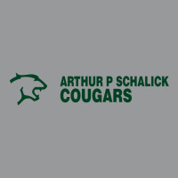 Arthur P Schalick High School Unisex Hoodie | Artistshot