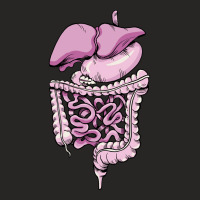 Detailed Digestive System Green Ladies Fitted T-shirt | Artistshot