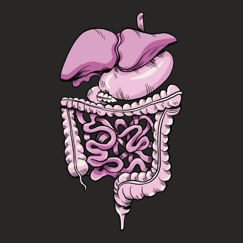 Detailed Digestive System Green Ladies Fitted T-Shirt by jenalyihyet | Artistshot