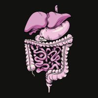 Detailed Digestive System Green Scorecard Crop Tee | Artistshot