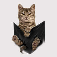 Brown Cat Sits In Pocket  Cats Tee  Gifts Pocket T-shirt | Artistshot