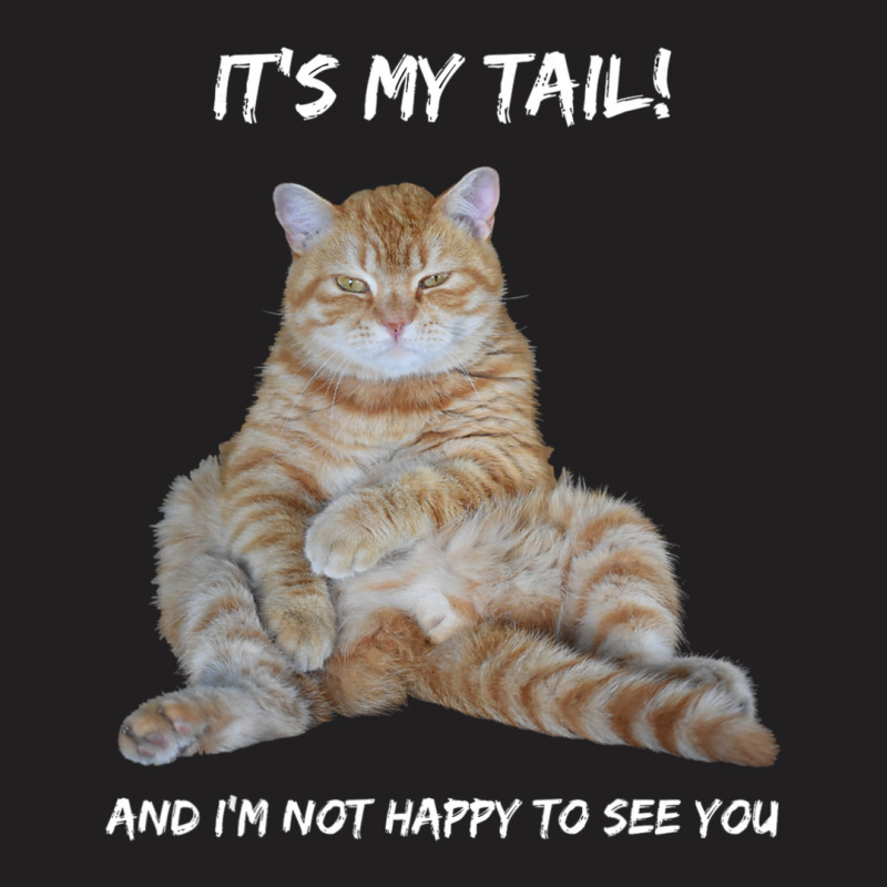 It's My Tail! Tabby Cat Dirty Adult Innuendo Humor T-shirt | Artistshot