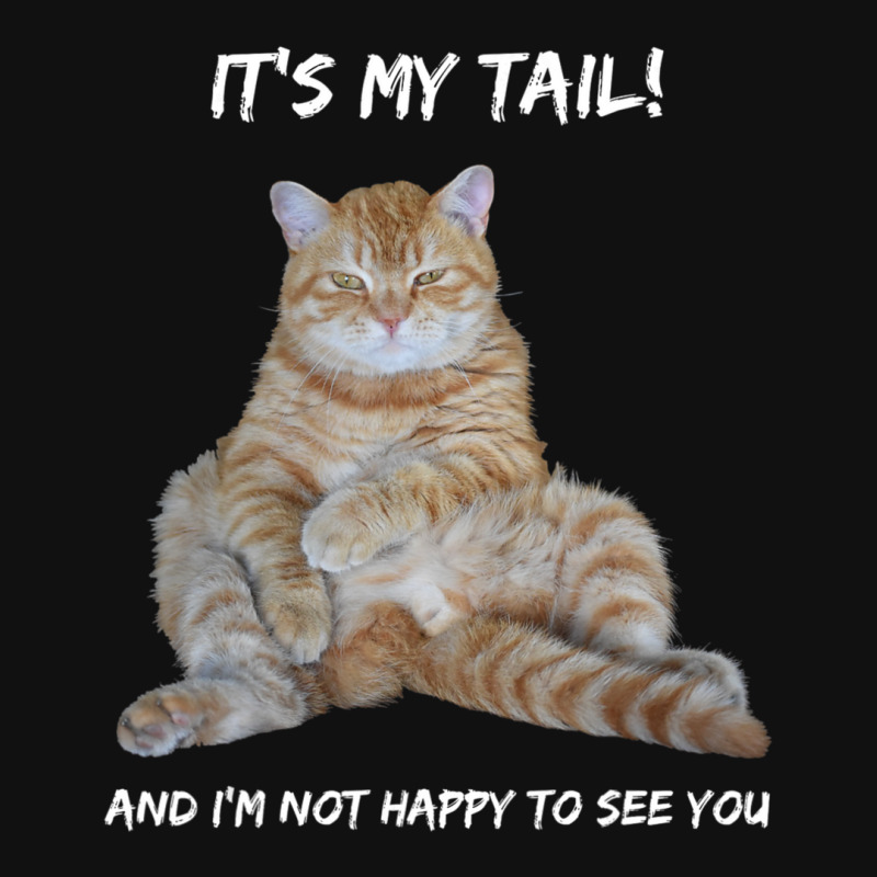 It's My Tail! Tabby Cat Dirty Adult Innuendo Humor Graphic T-shirt | Artistshot